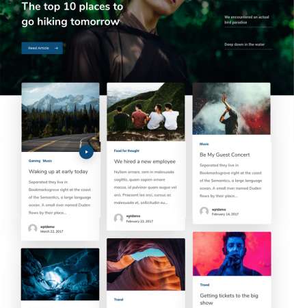 Sal WP FREEmium Theme Series | Sal WP-01-1MS-Mini-2